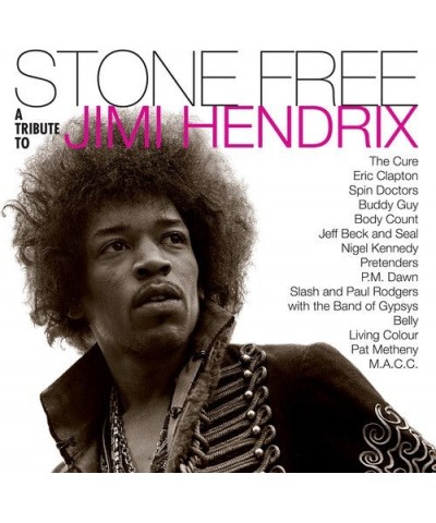 Jimmy Tribute Hendrix STONE FREE: JIMI HENDRIX TRIBUTE Vinyl Record $15.01 Vinyl