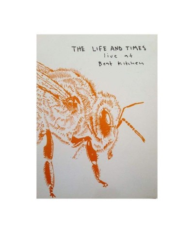 Life and Times Lost Bees Live at The Beat Kitchen DVD $3.90 Videos