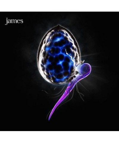 James NIGHT BEFORE CD $3.62 CD