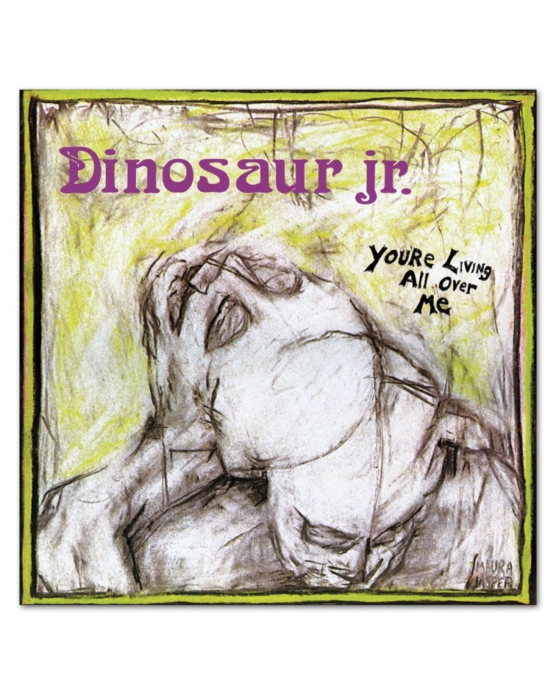 Dinosaur Jr. You're Living All Over Me Vinyl LP $4.80 Vinyl